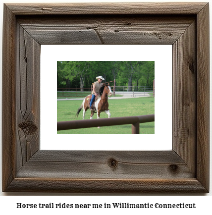 horse trail rides near me in Willimantic, Connecticut